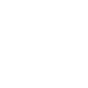 olive branch dove 1