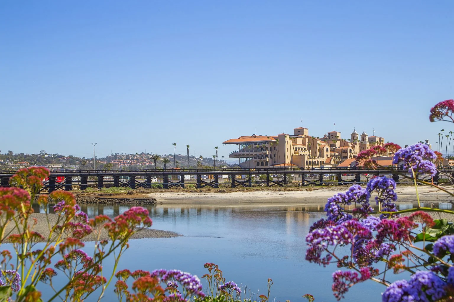 del mar coastal rental homes
